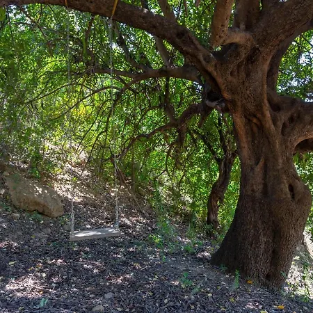 Casa Altavista אלורה