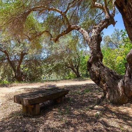 Casa Altavista אלורה